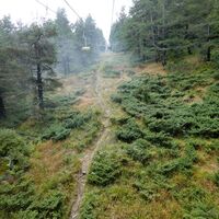Wanderweg auf den Vitosha, Sofia