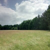 Wiese am Großdubrauer Rundwanderweg