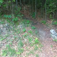 Am ende der Forststrasse geht es links in den Wald hinein