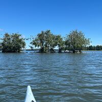 Vesijärveä im Kirkonlahti von Hollola, Hollola