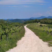 Vipava-Flussweg