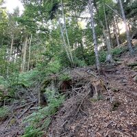 Abstieg vom Kleinen Peilstein