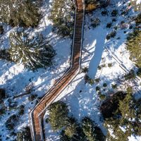 Baumwipfelpfad im Winter