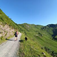 Entlang der Panoramastrecke der Gipfel