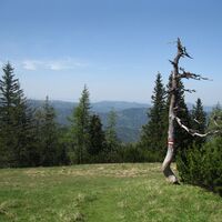 Auf den Göller