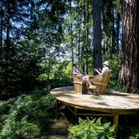 Pichlschloss Wald