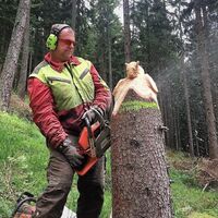 Holzschnitzer Erich Haider-Harrer_Nechnitz_Oststeiermark