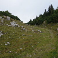 Grasweg