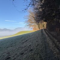 Auf stimmigem Waldweg weiter (Markierungen gibts keine)