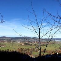 Forggensee