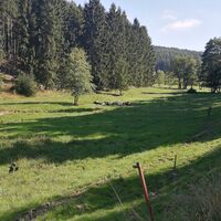 Von Künsdorf zum Bleilochstausee