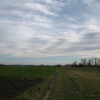 Fels - Absdorf