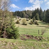 Aufstieg über die Almflächen der Nußmoaralm