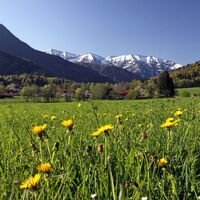 Blick nach Kreuth
