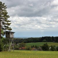 Am Waldrand