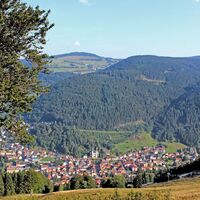 Blick über Todtnau