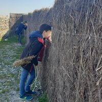 Cayeux-sur-Mer_hable-d'ault_Observatorium