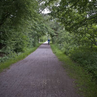 Natur pur