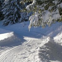 Winterwanderung - Senda d'unviern