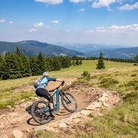 Ride with a View