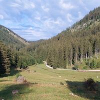 Ausblick Alm