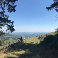 Weidewiese am Lärchsattel, Oststeiermark