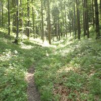 Unterberg Ostseite