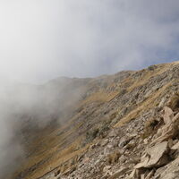 am Bergrücken gehts dann Richtung Großer Laugen