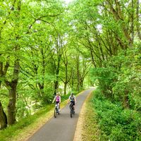 Durch den Wald bei Weilerbach
