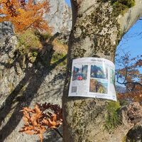 Info über die wenigen Reste der Burg