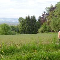 Blick ins Pfälzer Bergland