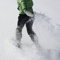 Schneeschuhwandern