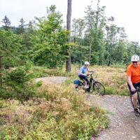 2024-08-17 Green Trails Diemelsee (12).jpg