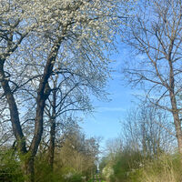Obendorf Rundweg
