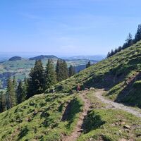 Oberi Hällstett - Riffenmatt-Pfyffe Trailrun