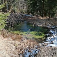 ehemaliges Ameisberg-Freibad