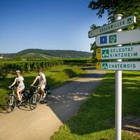 Eurovelo 5 Via Romea Francigena. Weinberg-Radweg