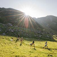 Trailrunning in der Region Seefeld Gruppe von Läufern im Scharnitztal in Leutasch über der Wangalm.jpg