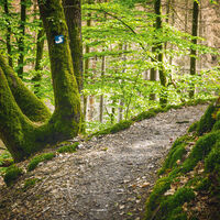 Natursteig Sieg Etappe 11