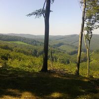 Blick nach Niederösterreich