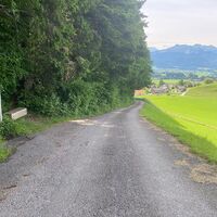Über den Rotenberg zurück nach Lingenau