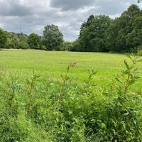 Rundwanderweg Haus Welschenbeck