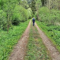 Der Weg führt uns entlang der Mur