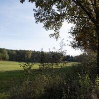 Waldrand am Elbe-Katemin-Weg