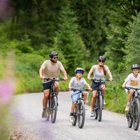 Radfahren mit der Familie (2)