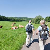 Der Primstaler Panoramapfad