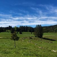 La combe du Mortier
