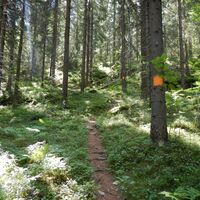 Naturpfad Haukkavuori