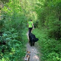 Weg um die Schelmenheide Richtung Kneippanlage Eldern