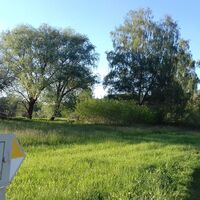 Kneipp-Wanderweg ins Günztal
